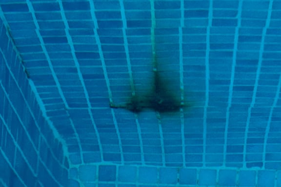 Pool rehabilitation in alarò | Pool Mallorca